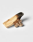 coral incense holder