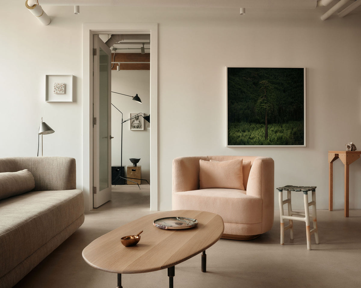interior design services | ashley botten design