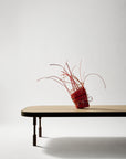 phoebe coffee table